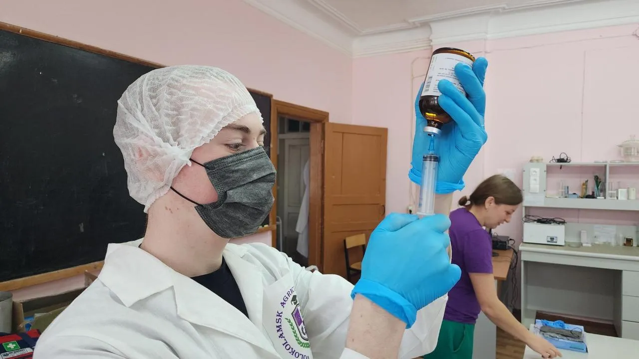 МедиаБанк Подмосковья/Дмитрий Беденко