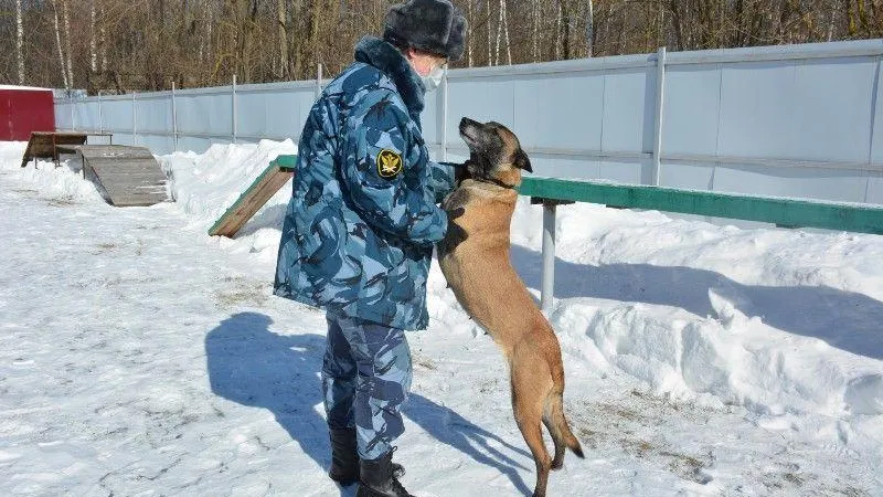 ГУРБ МО