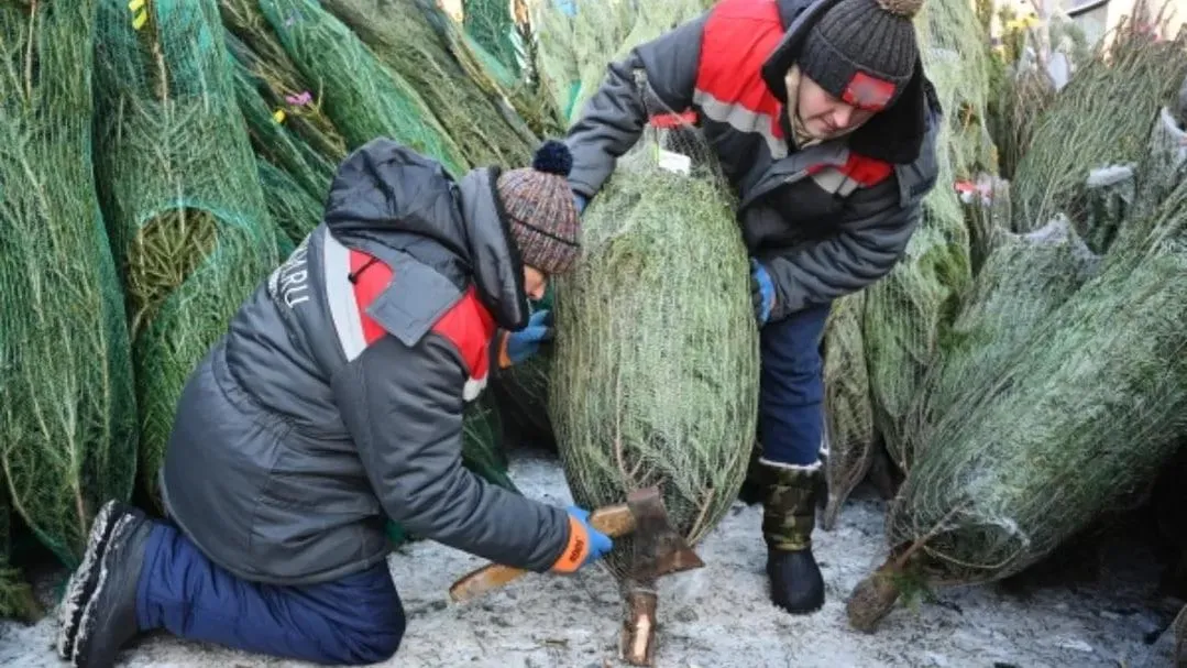 фотобанк МО