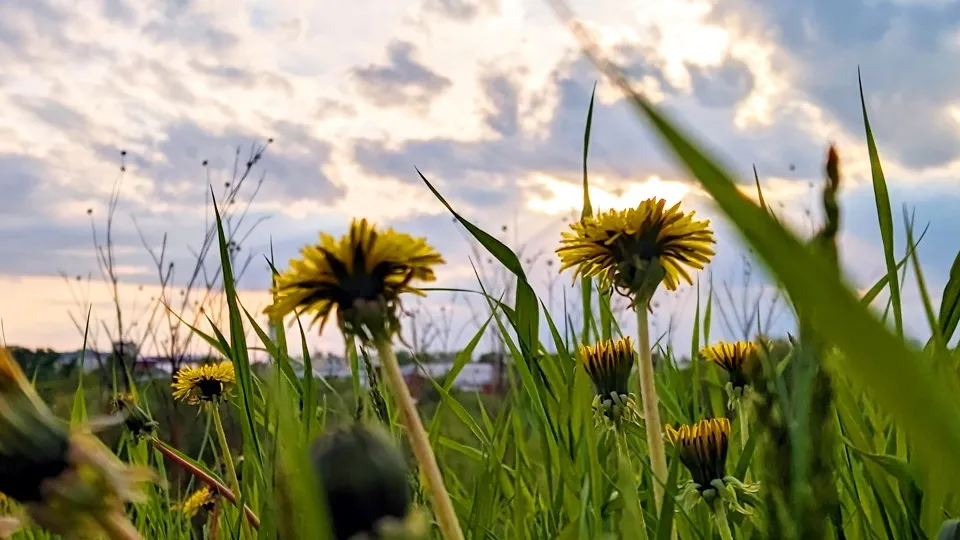 Фото: REGIONS/Алексей Селиверстов