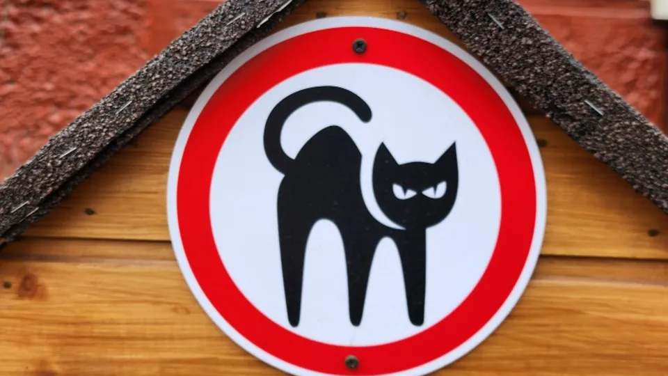 Фото: Максим Сафронов