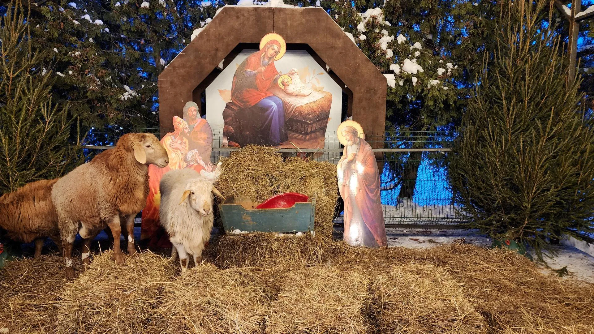 Фото: МедиаБанк Подмосковья/Ирина Моисеева