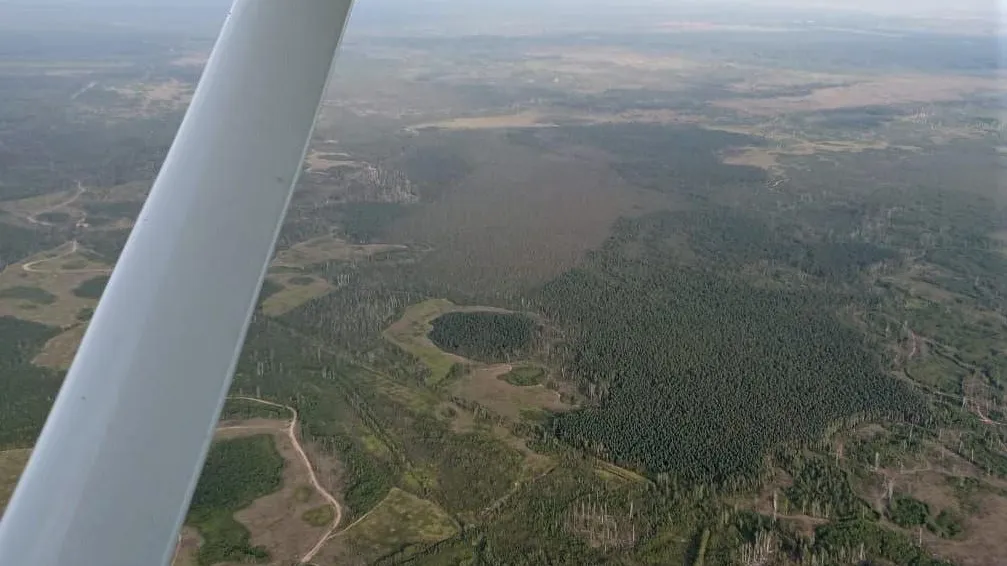 Комитет лесного хозяйства МО