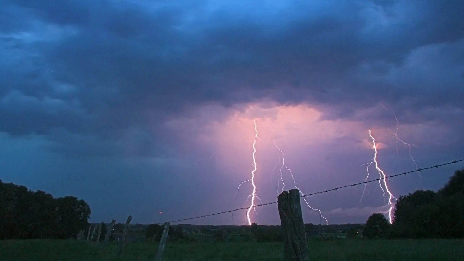 Фото: pxhere.com