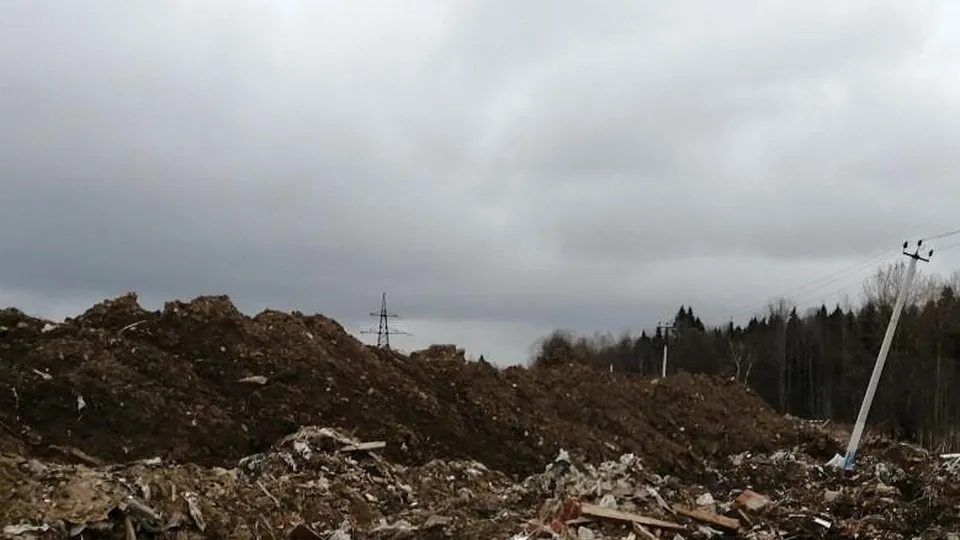 Фото: Министерство экологии и природопользования Московской области