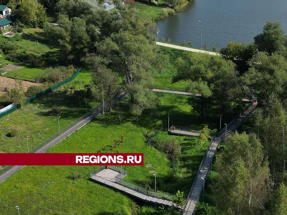 Фото: Дмитрий Беденко