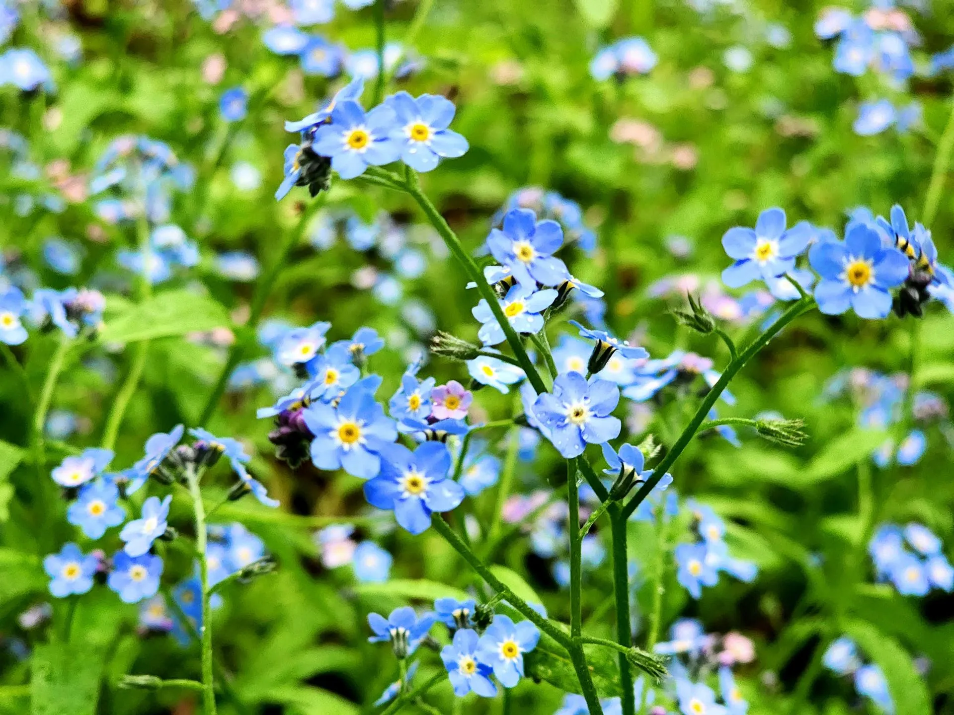 Фото: Мария Панина