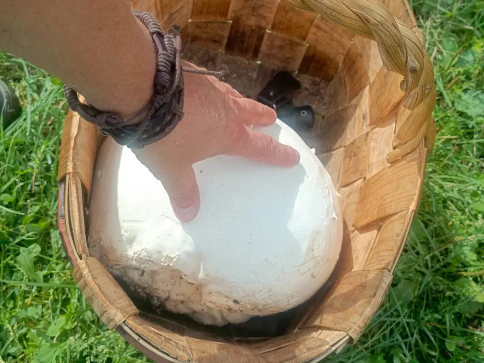 Фото: личный архив&nbsp;Дмитрия Тихомирова