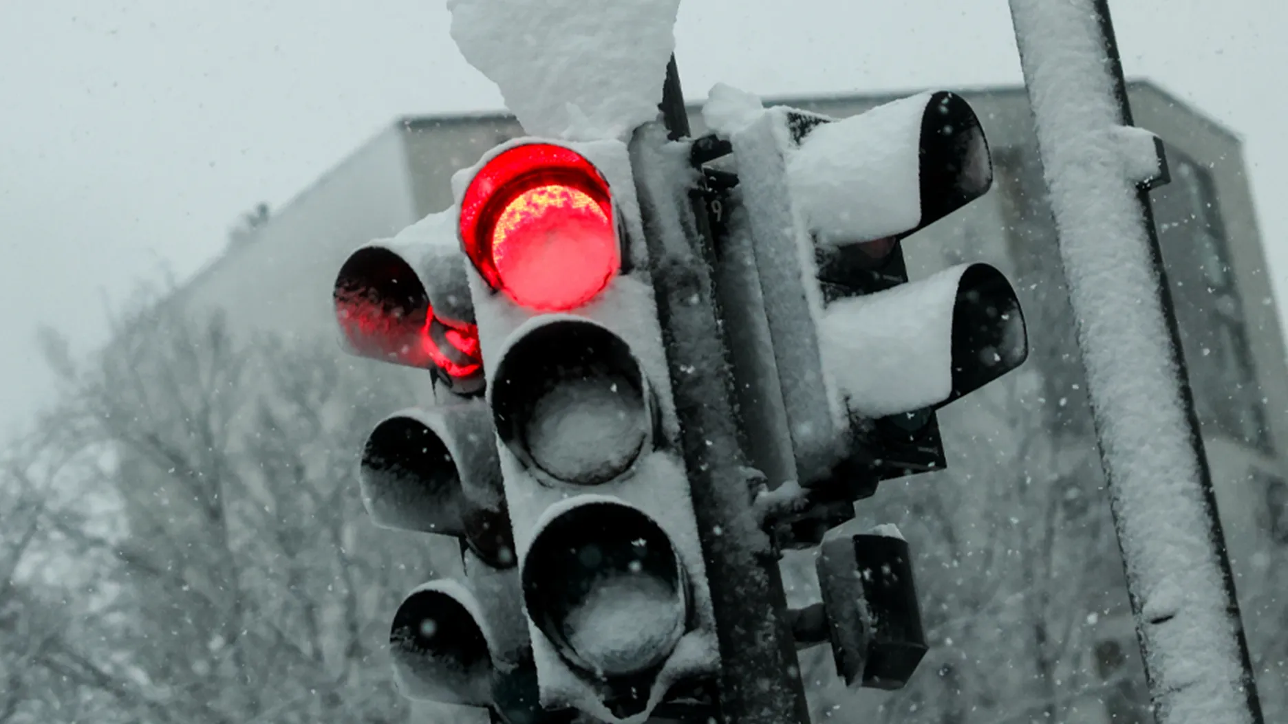 Фото: TASS/DPA/Christian Charisius