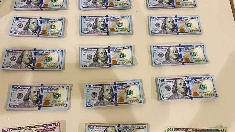 Тридцать четыре тысячи долларов нашли у пассажира из Каира в Домодедово