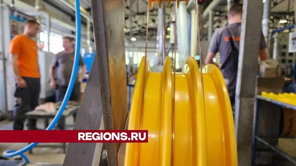 Фото: Мария Андрюхина