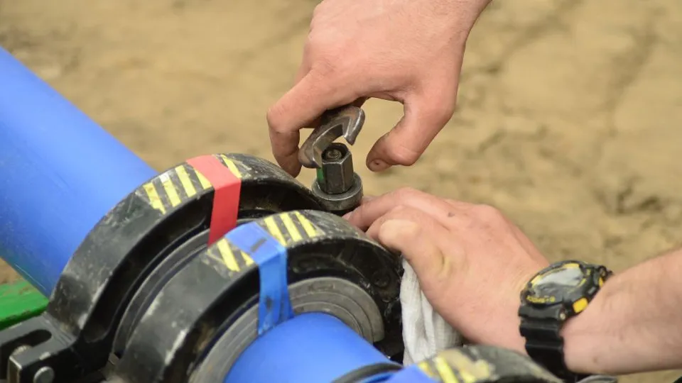 Фото: МедиаБанк Подмосковья/Анастасия Хренкова