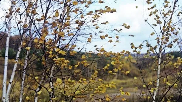 Борис Ушмайкин / РИА Новости