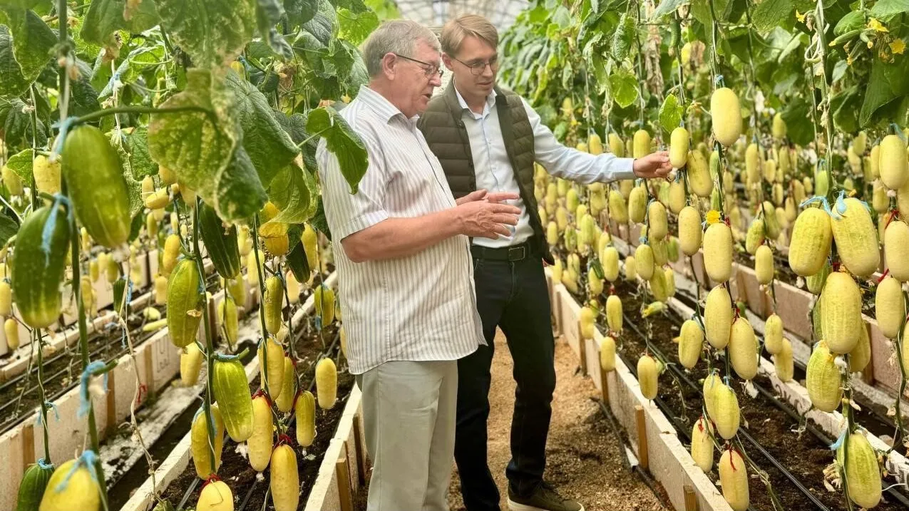 Фото: Пресс-служба Минсельхозпрода МО