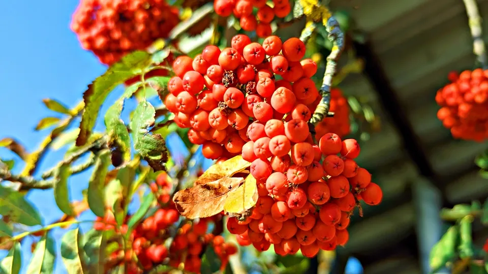 Фото: REGIONS/Алексей Селиверстов