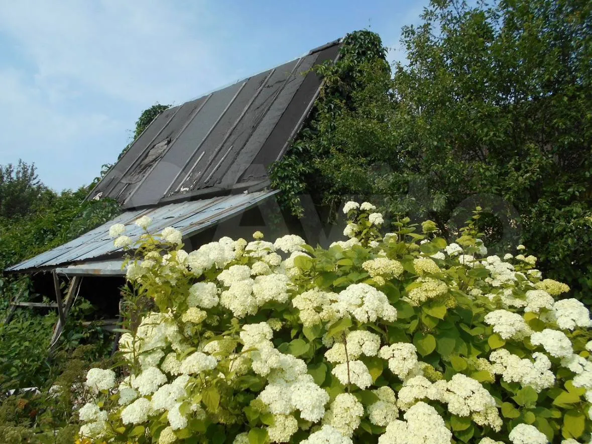 Фото: городская доска объявлений&nbsp;