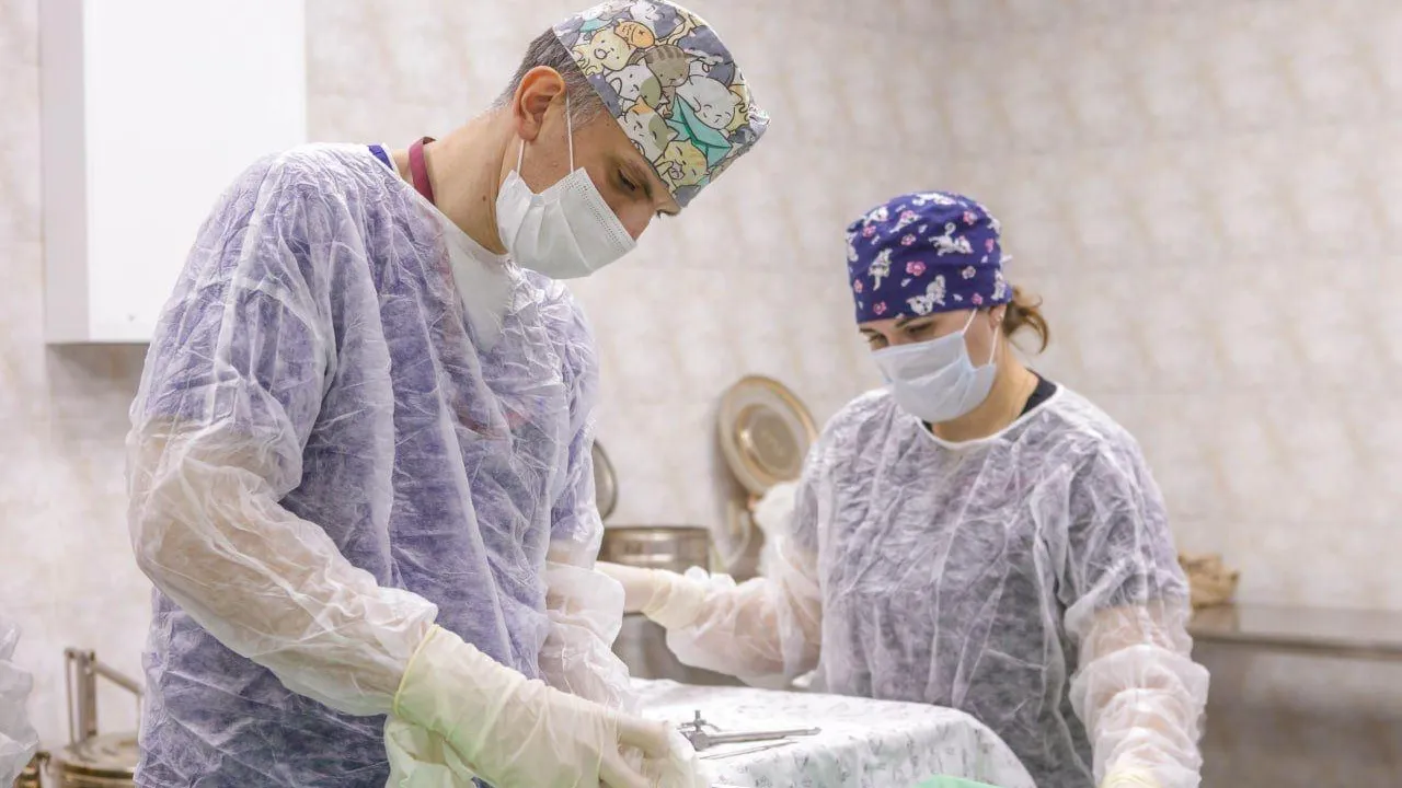 Фото: Пресс-служба Минздрава МО