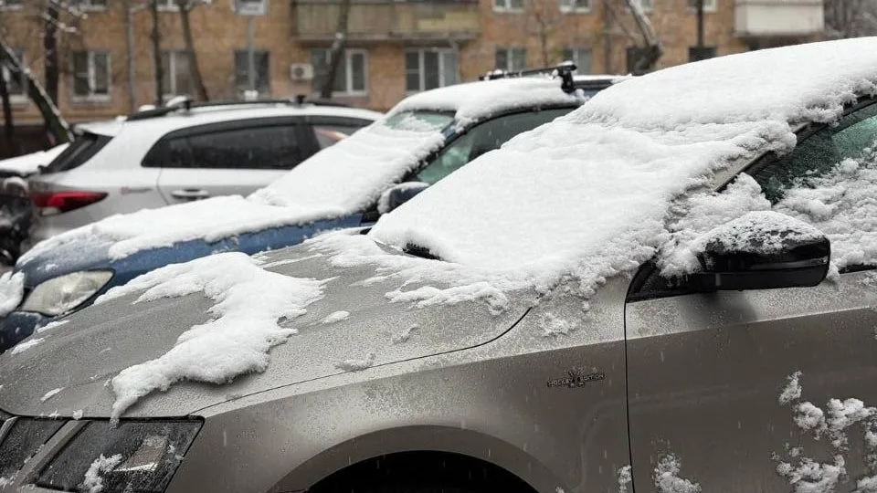 REGIONS/Полина Крачун