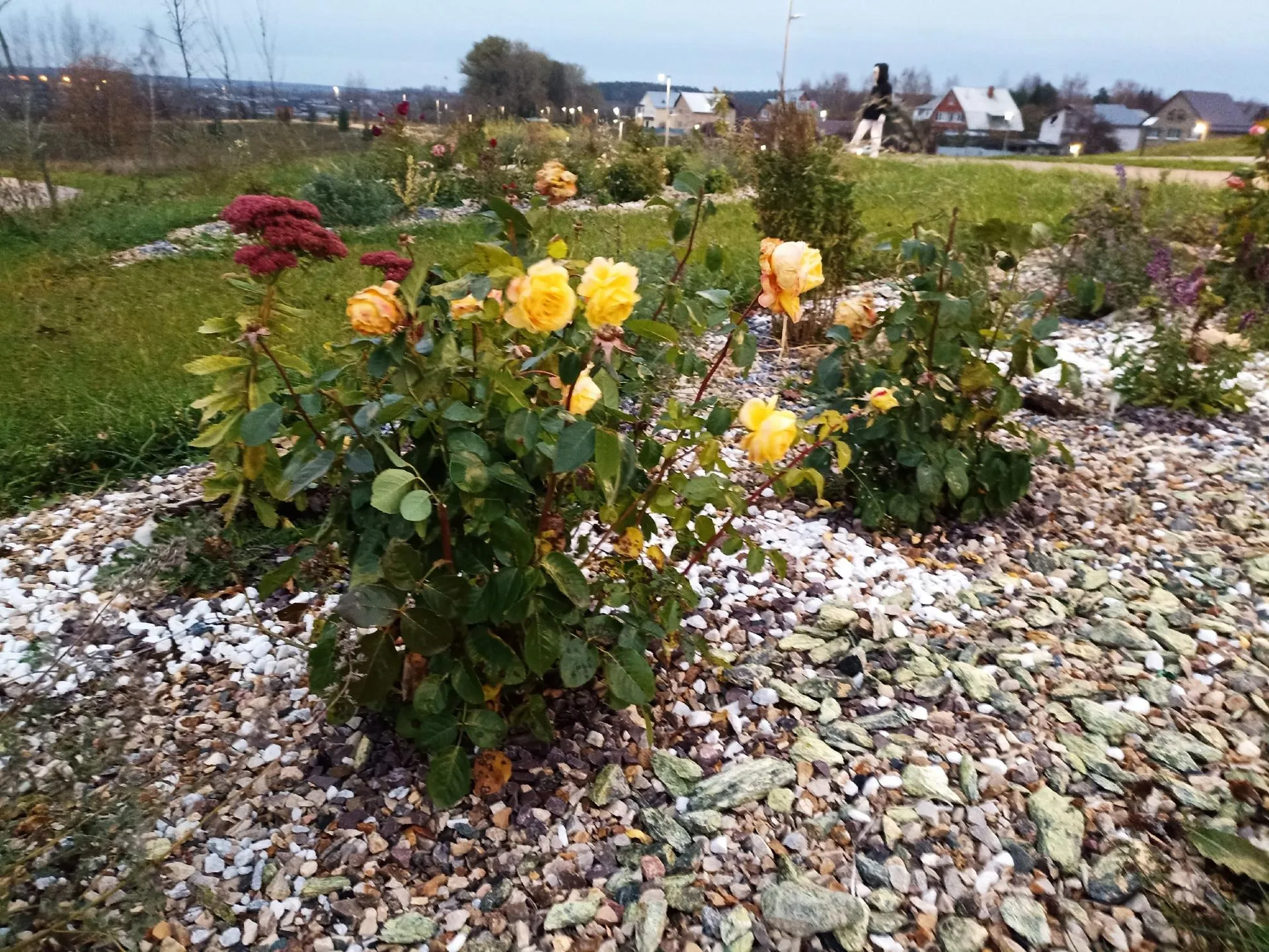 Фото: Подслушано Можайск / Вконтакте