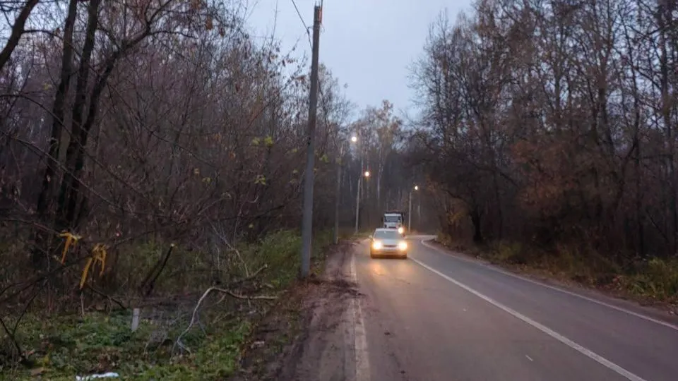 Фото: Министерство благоустройства Московской области