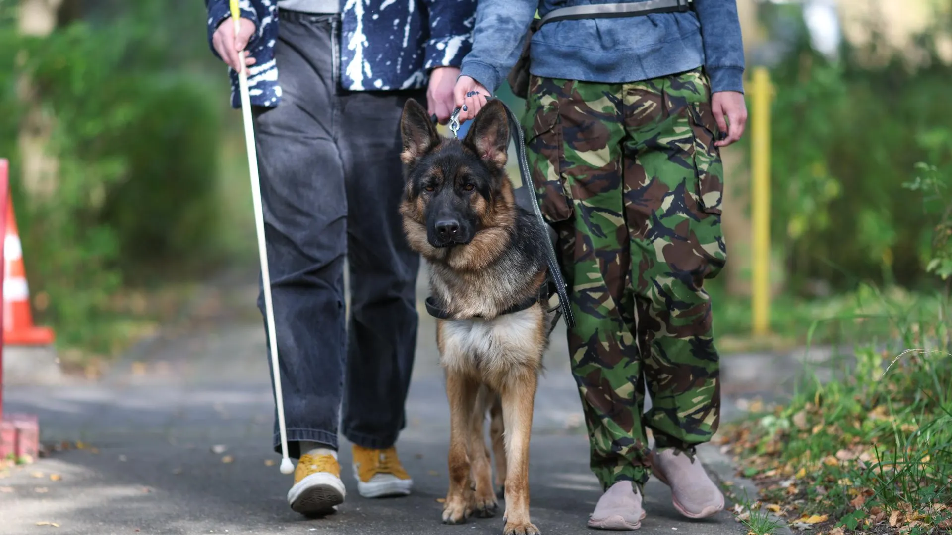 Belkin Alexey/news.ru