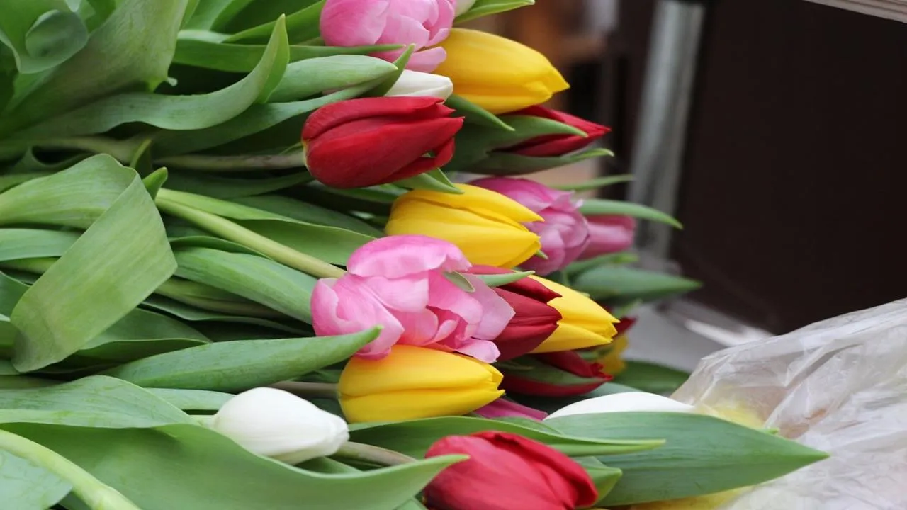 медиасток.рф