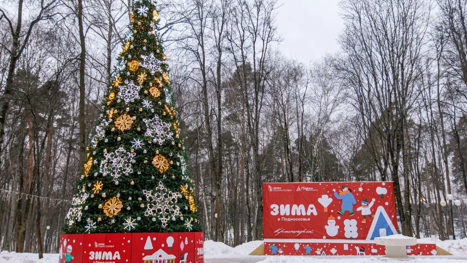 Фото: медиасток.рф