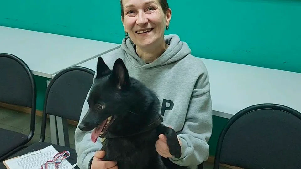 Фото: МедиаБанк Подмосковья/Михаил Раскин