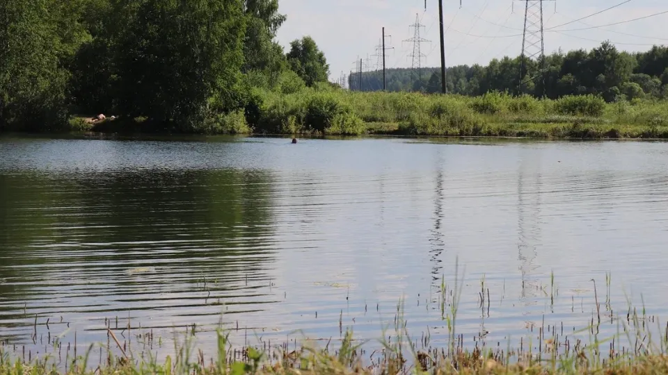 Фото: REGIONS/Василий Тремасов