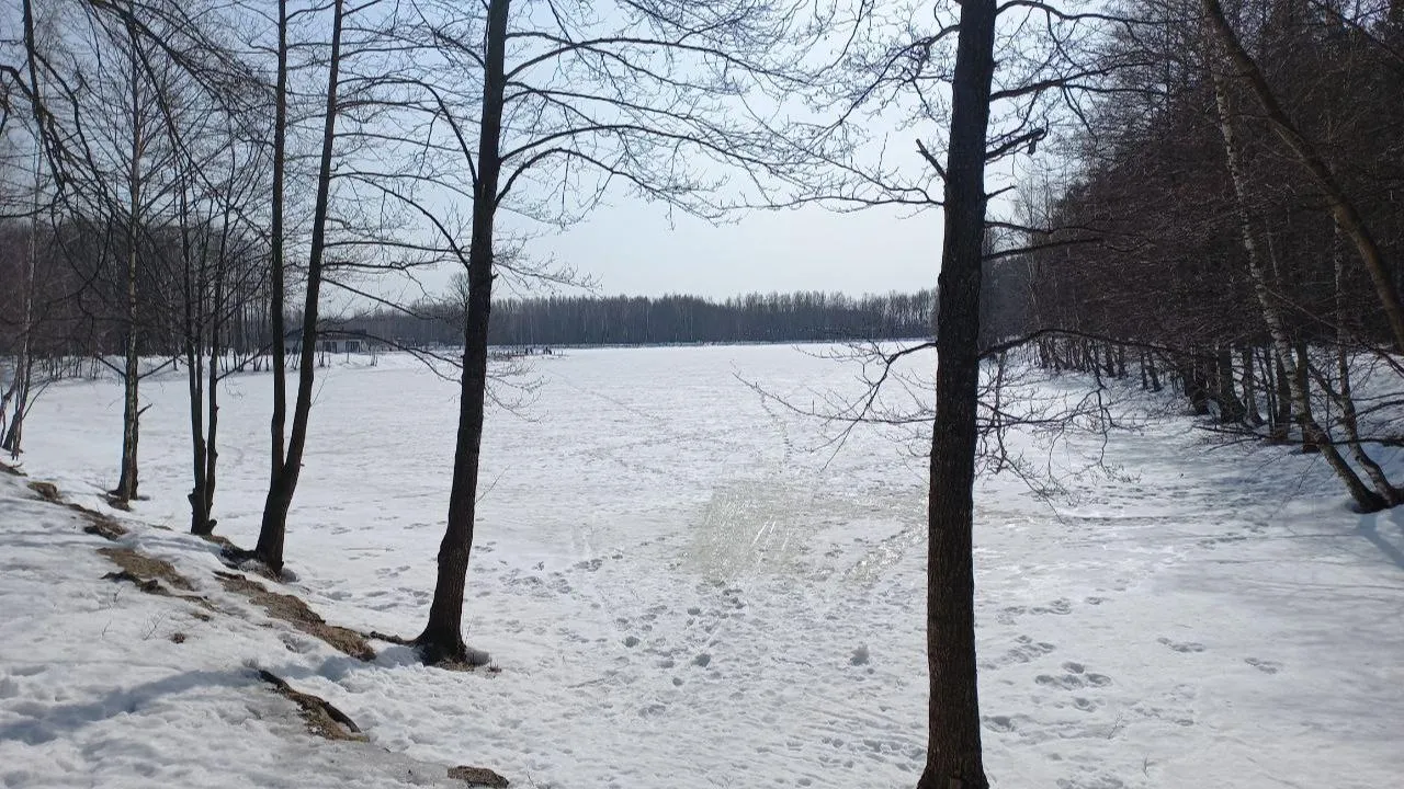 REGIONS/Олег Книжник