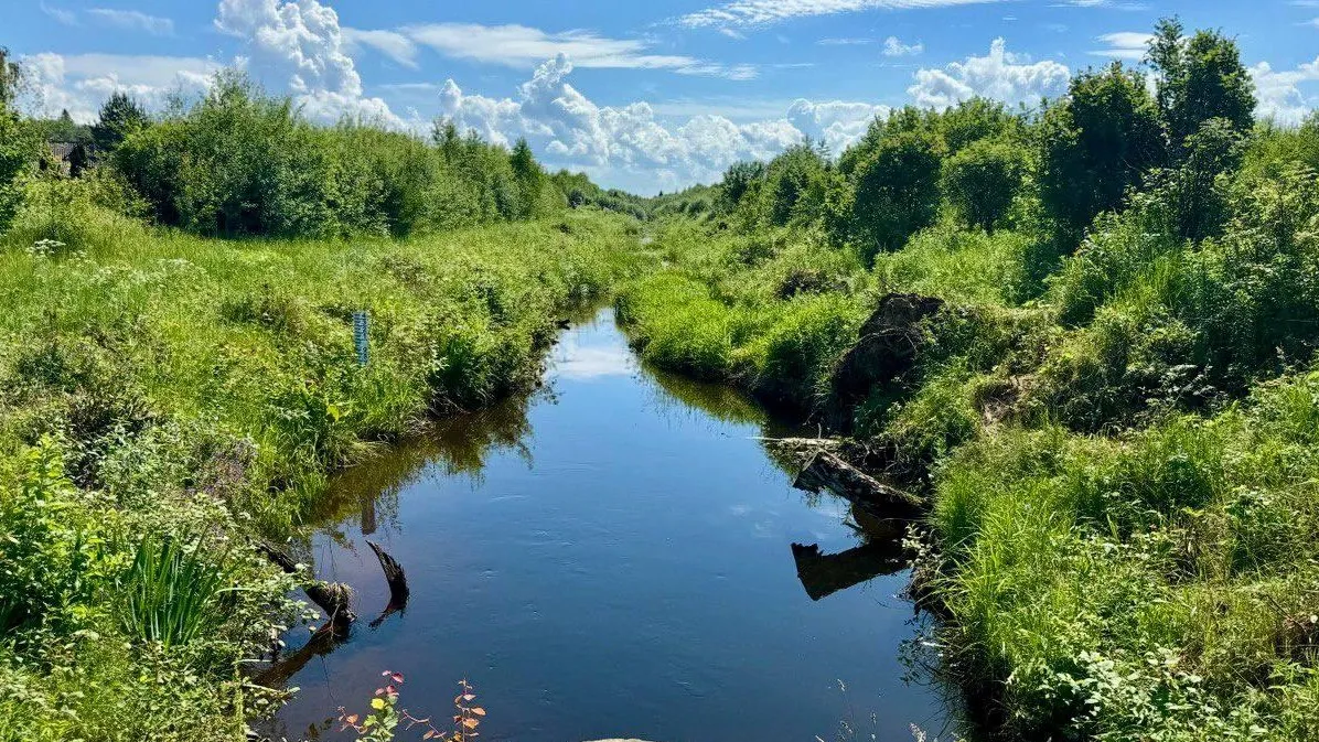 Фото: пресс-служба администрации Можайского городского округа