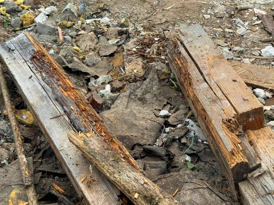 Фото: пресс-служба администрации Можайского м. о.