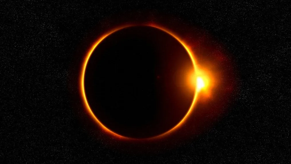 Фото: pxhere.com