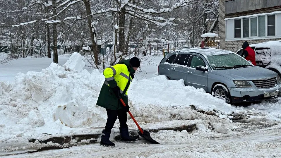 Фото: REGIONS/Татьяна Сташенко