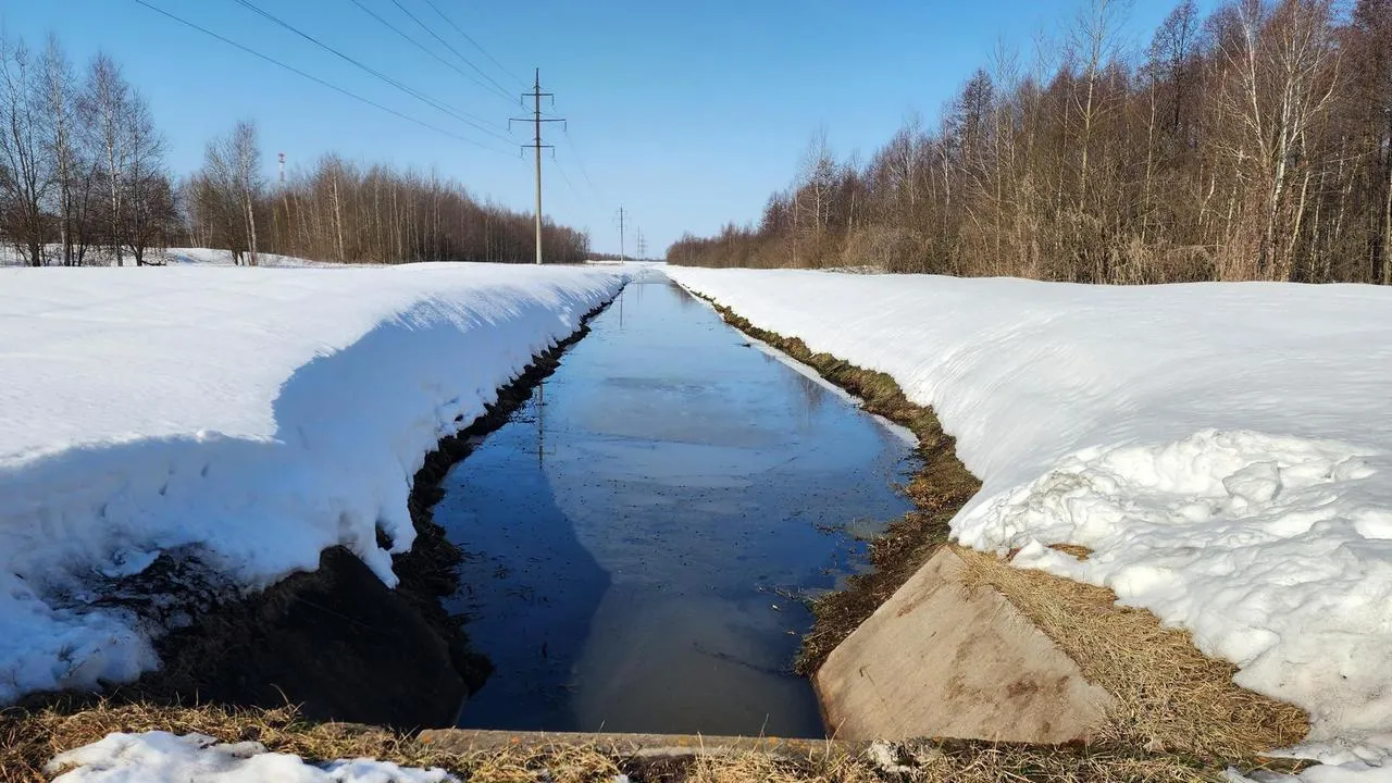 МедиаБанк Подмосковья/Анна Шолохова