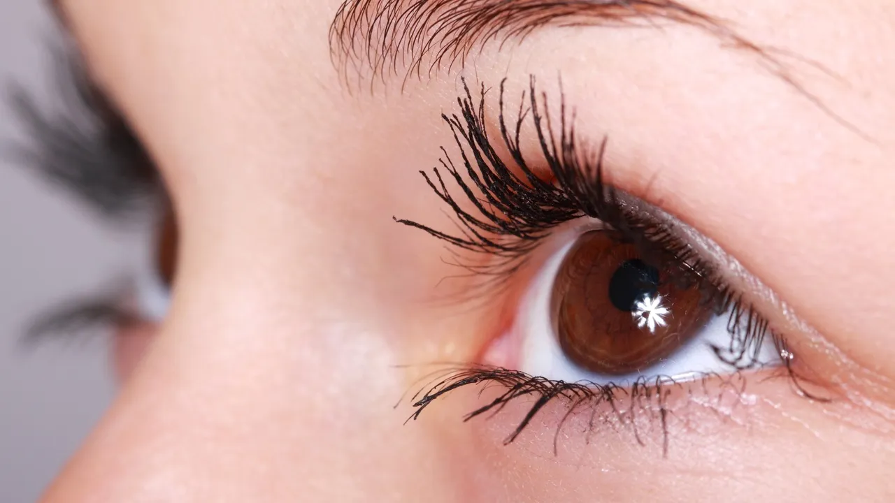 Фото: pxhere.com