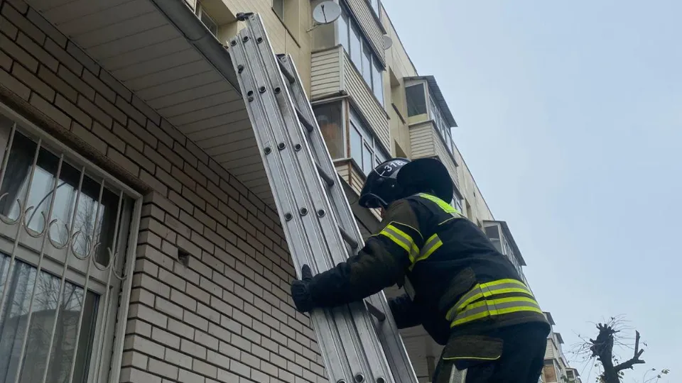 Фото: пресс-служба ГКУ МО «Мособлпожспас»