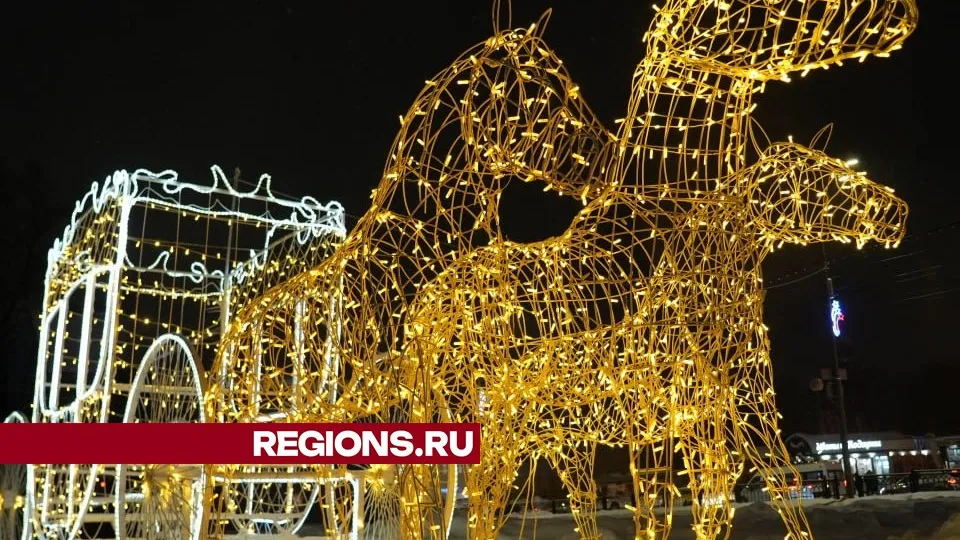 Фото: Дарья Леонова