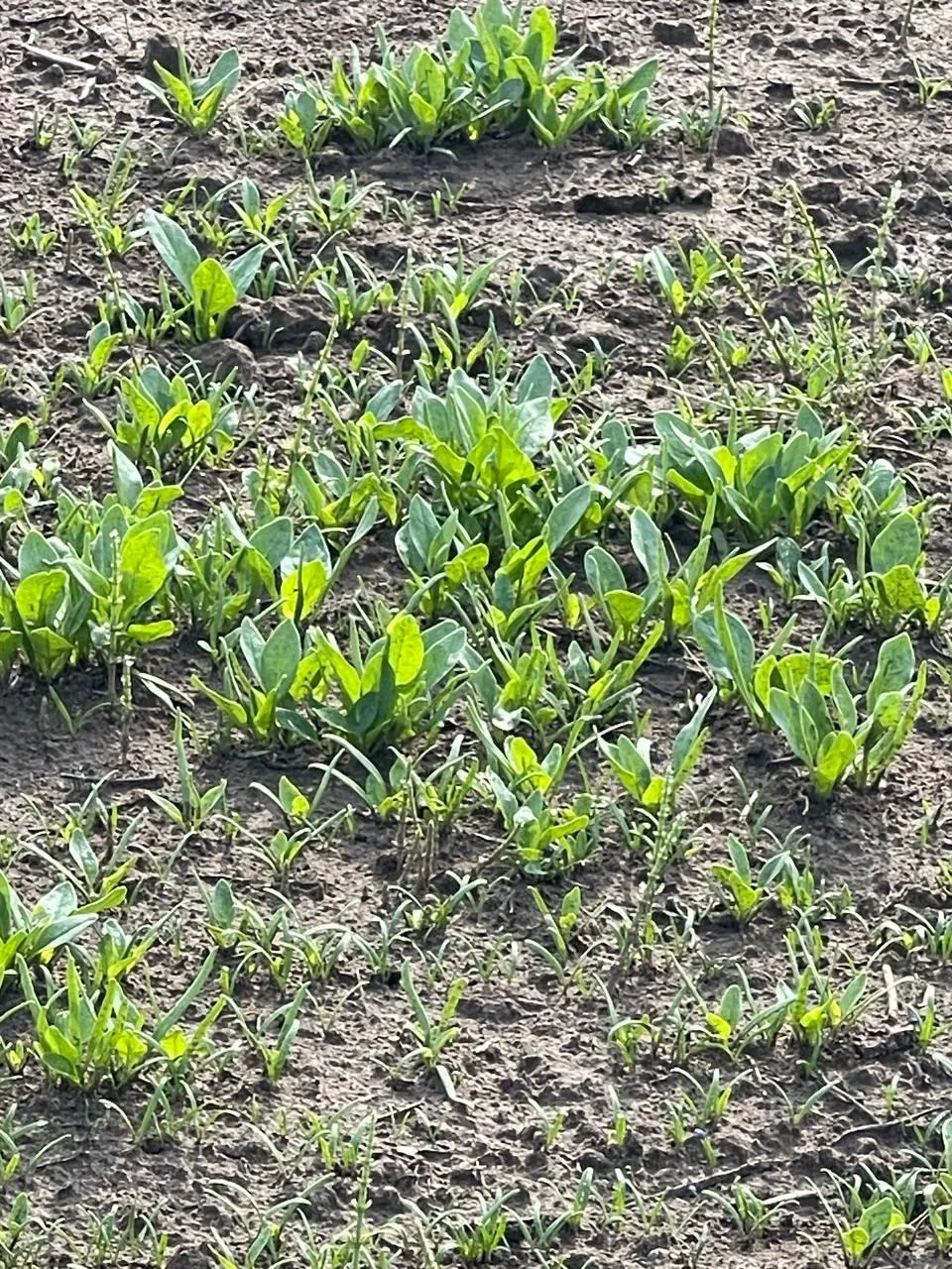 Фото: Андрей Семибратов