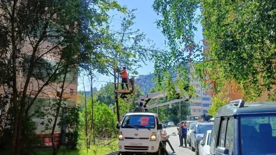 Фото: Министерство по содержанию территорий и государственному жилищному надзору МО