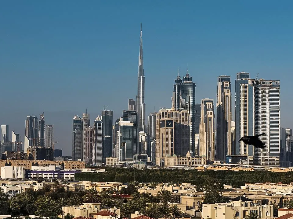 «Очень много напряженных мест»: нашлась причина дороговизны жилья в Дубае