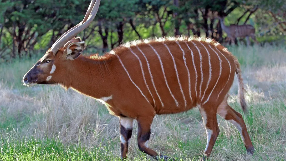 Фото: freepik.com