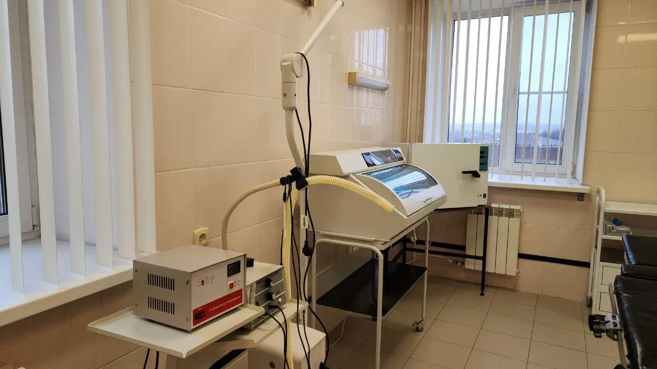 Фото: Мария Андрюхина