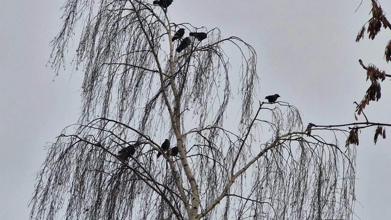 Фото: REGIONS/Наталия Надточая