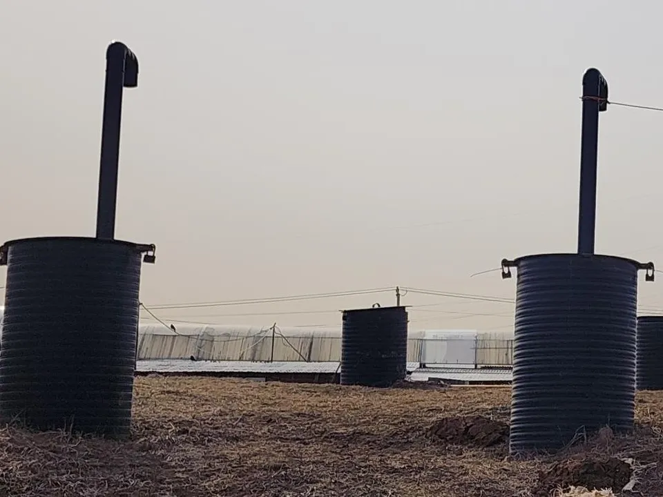 Фото: Хавива Фонина