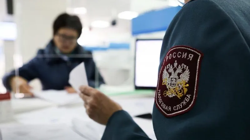 Налог на профессиональный доход принес в бюджет Подмосковья почти 51 миллион рублей