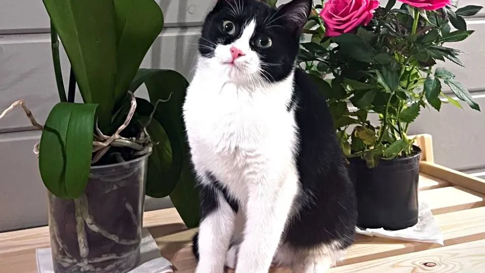 Фото: REGIONS/Максим Зубарев