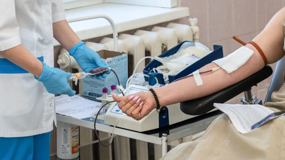 Фото: пресс-служба администрации г.о. Щелково