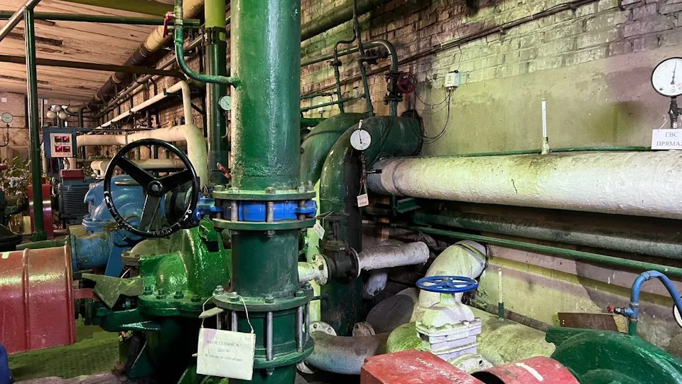 Фото: пресс-служба администрации г.о. Чехов