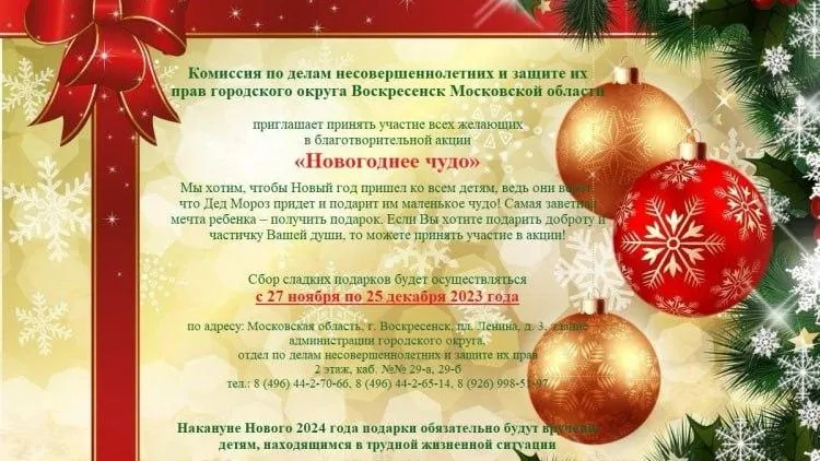 В подмосковном Воскресенске началась благотворительная новогодняя акция